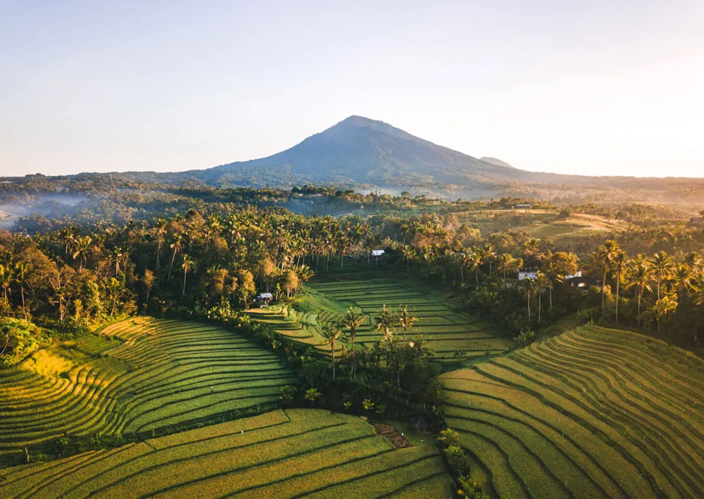 Desa Belimbing Rice terrace