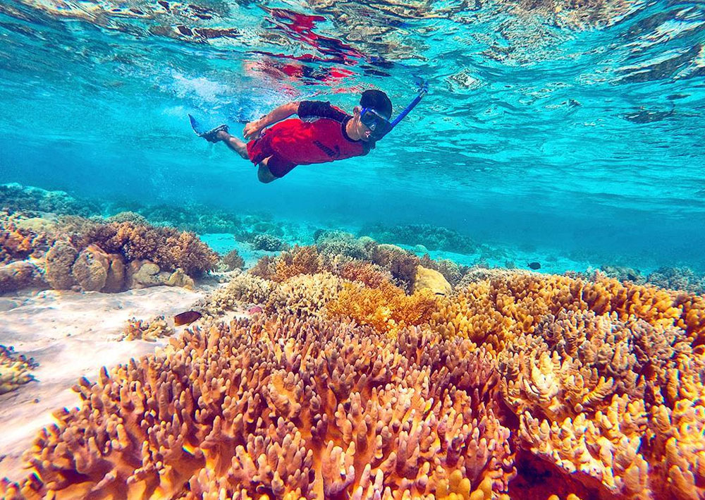 menjangan-snorkling